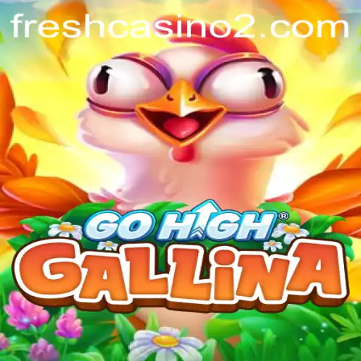 Exploring the Thrilling World of GoHighGallina: An In-Depth Insight